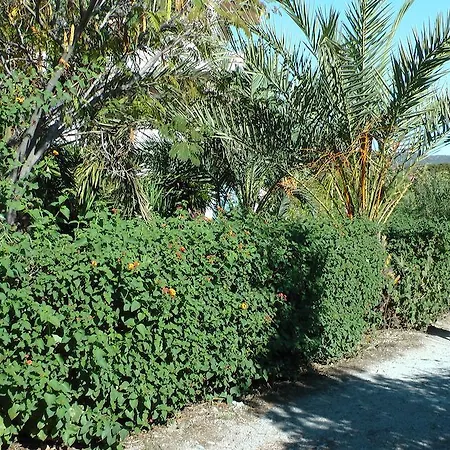 Petasos 1