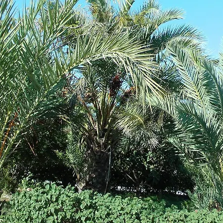 Petasos 1 Apartamento *