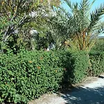 Petasos 1
