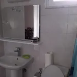 Petasos 1 *